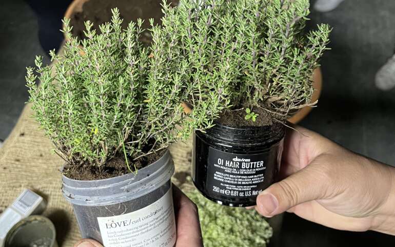Davines dogodek
